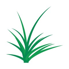 grass plant vector design
