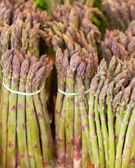 Bundles of fresh Asparagus spears at a market