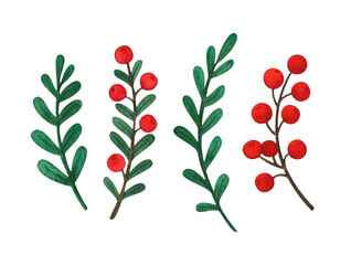 Leaves and red berries on the branch. A set of watercolor illustrations of Christmas plants. Botanical elements for postcards, prints, natural decor. The clipart is isolated on a white background.