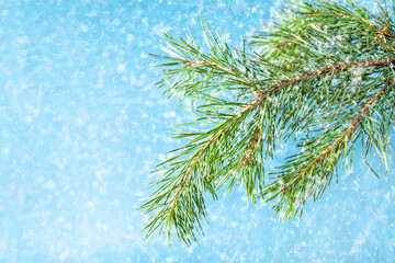 New Year, Christmas background, fir branches and snow. Place for text, Copy space for inscription.