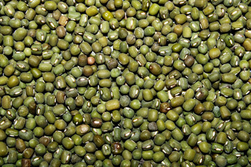 Close-up view of the Mung Beans.