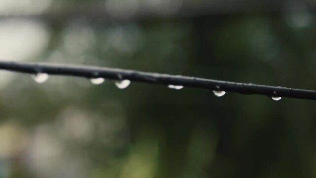 The rain soaks the transverse power lines