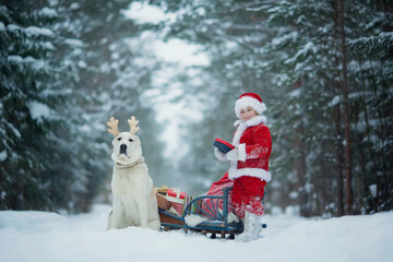 A funny little kid dressed in a red Santa Claus costume and a dog in a deer costume bringing gifts in a winter snow-covered forest. Christmas eve