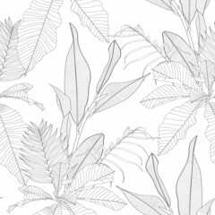 Tropical exotic floral line black white palm leaves and flowers seamless pattern, line background. Exotic jungle wallpaper.	