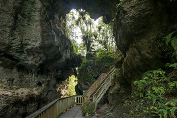 Obraz premium Mangapohue Natural Bridge, New Zealand, North island