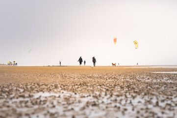 Walkers with dogs and kites in hazy weather on the beach of Föhr