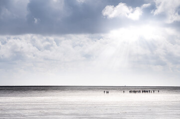 Group of a mudflat hike at low tide in the wide mudflats off Dagebüll in hazy weather with sun...