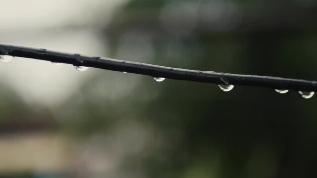 The rain soaks the transverse power lines
