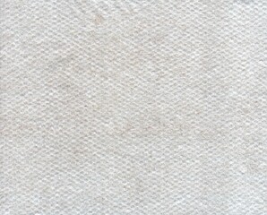 Texture of white non-woven covering material