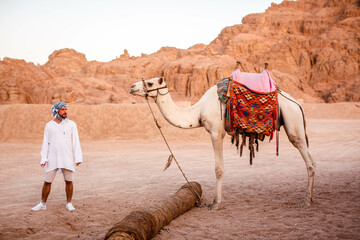 Male tourist stands near a camel in the desert of Egypt