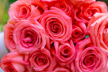 bouquet of red roses