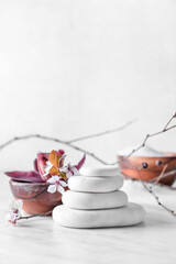 Spa stones with blossoming branch on white background, closeup