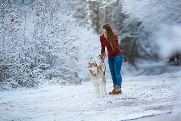 Fototapeta na wymiar A woman with a purebred husky dog on a snowy forest road