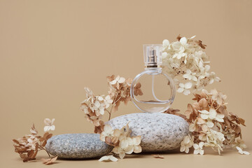 Round Perfume bottle mockup on beige background. Pebble podium and dry hydrangea flowers. Natural...