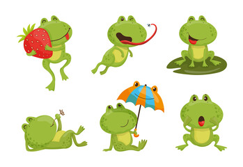 Collection of cartoon illustrations with frog performing different actions. Colorful cute character.