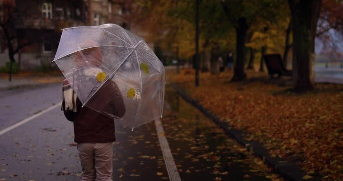 rear view of cute young kid with umbrella walking on autumn street at rainy day