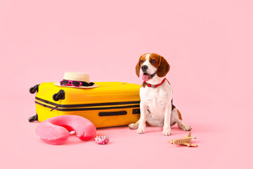 Cute Beagle dog with suitcase and travel things on pink background