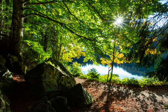 Feldsee on the Feldberg in the Black Forest