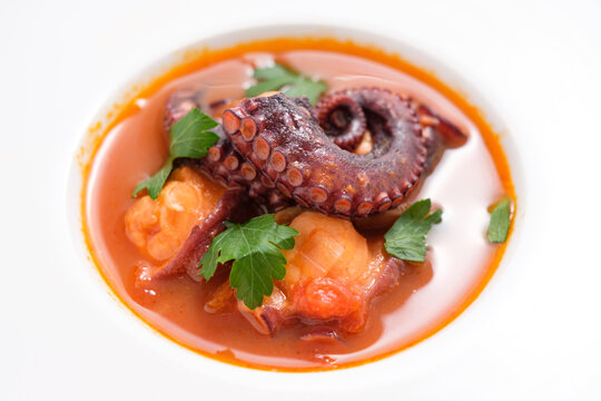 Octopus arm in tomato sauce with parsley