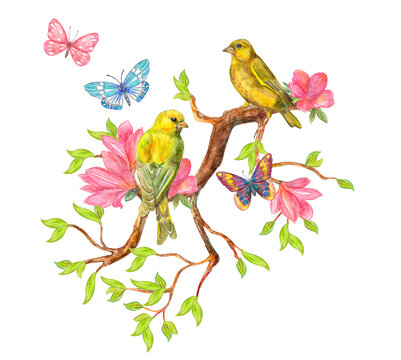 couple of yellow birds sitting on branch of flowering tree. watercolor painting