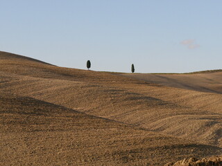 Crete senesi
