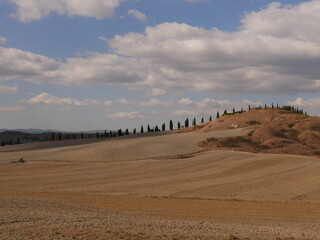 Crete senesi