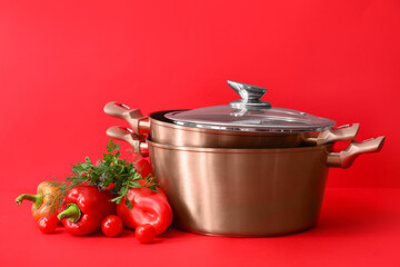 Cooking pots and vegetables for tasty soup on color background