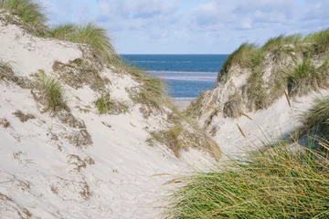 Papier Peint photo autocollant Mer du Nord, Pays-Bas Paysage de dunes à la mer du Nord