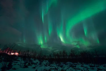 Foto op Aluminium aurora borealis northern lights in the sky  © Dimitri