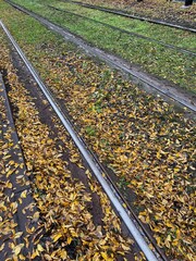 Autunno Foglie e rotaia