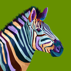 colorful zebra pop art portrait - obrazy, fototapety, plakaty