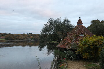 houses reflecting onto an English Hampshire New Forest lake with trees and cloudy sky