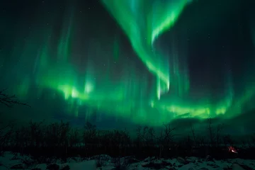 Foto op Canvas aurora borealis northern lights in the sky  © Dimitri
