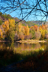 rzeka jesień góry drzewa natura kolory - obrazy, fototapety, plakaty