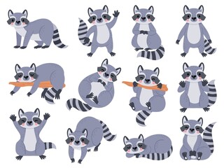 Cute cartoon baby raccoon sleeping, standing and waving. Funny raccoons poses. Happy forest animal character, racoon kids mascot vector set - obrazy, fototapety, plakaty