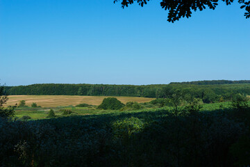Fototapeta premium Rural landscape with fields and forest in the background