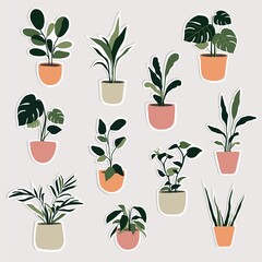 Set of house plants in the pots. Trendy home decor with plants. Flat illustration. Stickers.