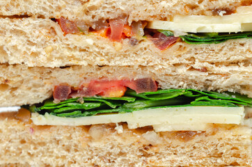 Closeup on a vegetarian sandwich with cheddar cheese, tomato, spinach with mango and apricot chutney in seeded malted bread