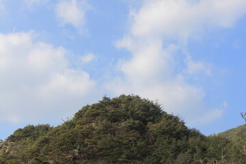 Obraz premium 풍경 사진 그리고 멋있는 햇빛 Scenery pictures and cool sunlight.