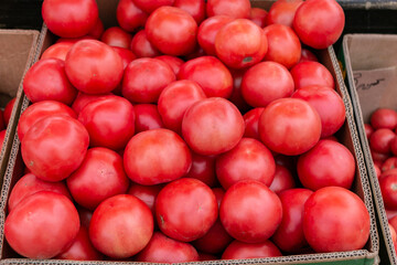 Lots of red tomatoes in a cardboard box. Selling tomatoes at the farm market. Red ripe tomatoes. Close-up.