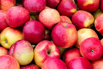 Red ripe apples. Background and texture from apples. Lots of beautiful red apples. Close-up.  Collection and sale of apples.