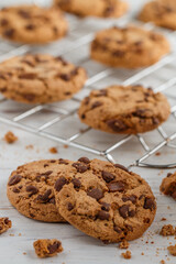 Freshly baked homemade round chocolate cookies with chocolate chips. Delicious pastries. dessert. Selective focus