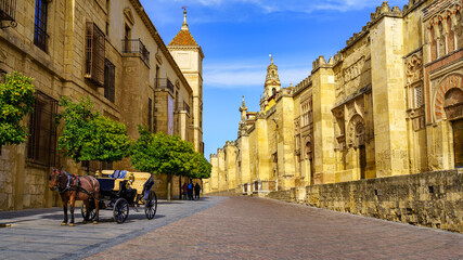Horse carriage in front of the Cordoba mosque on a calm and sunny day. Spain.