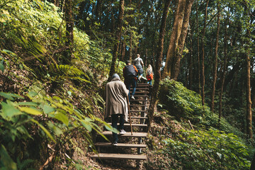 Group of people travelers walking in jungle forest