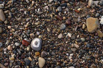 Steine am Strand Ausschnitt