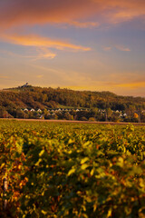 Gombos-hegyi pincesor in Hercegkut, UNESCO site, Great Plain, North Hungary