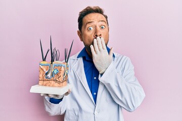 Middle age doctor man holding model of human anatomical skin and hair covering mouth with hand,...