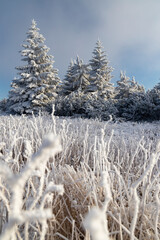 Winter landscape near Velka Destna, Orlicke mountains, Eastern Bohemia, Czech Republic