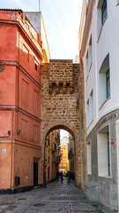 Arco de la Rosa. Cadiz, Spain Rose Arch © josemad