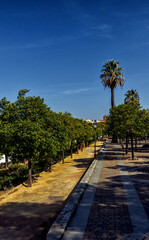 Parque Alameda Vieja en Jerez de la Frontera en la provincia de C&aacute;diz, Bellleza y Detalles / Alameda Vieja Park en Jerez de la Frontera, C&aacute;diz